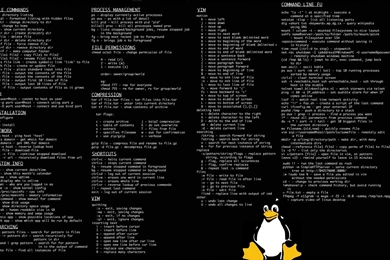 Linux Tux Console Infographics Command