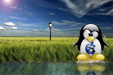 Nice Tux Wallpapers By Cradle eXe On DeviantArt