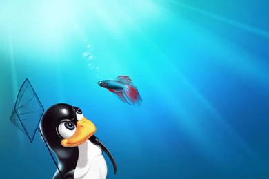 Tux Vs Windows 7 Fish   Widescreen : Desktop And Mobile Wallpapers ...