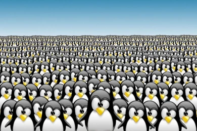 Tux Wallpapers Tux Pictures Tux HD Backgrounds Check The Level ...