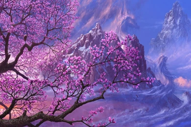 Fantasy Flowers Sakura Wallpapers HD Download For Desktop