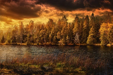 Nature Desktop Wallpapers