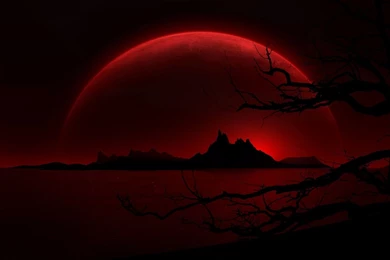 Gallery For   Black Red Wallpapers House