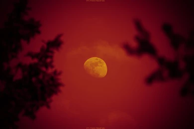 Download Wallpapers Red Moon Rising