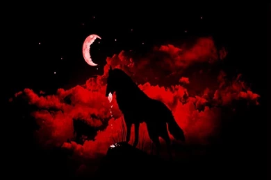 UNDER A RED MOON WALLPAPER   (