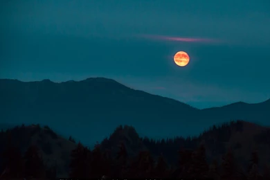 Once In A Red Moon Olympic National Park 4K Or HD Wallpapers For ...