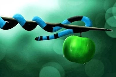 Wallpapers HD: 3D Wallpapers For Computer Desktop