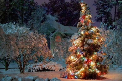 Essential Christmas Desktop Wallpapers For 2013