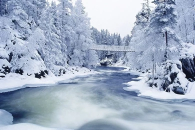 Snowy Forest River Wallpapers   Nature Wallpapers