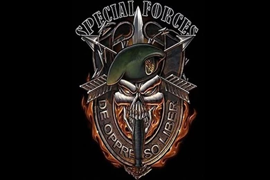 Photo "Spec Ops" In The Album "Military Wallpapers" By Leetbumble ...