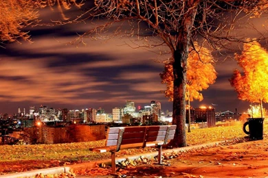 Amazing City Landscape Wallpapers   (