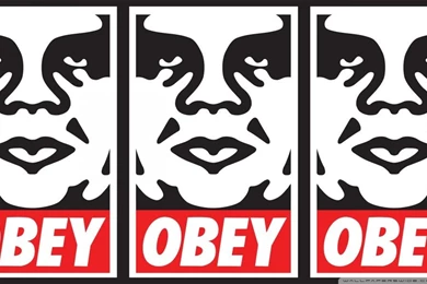 Flower Desktop Wallpapers HD Picture : Desktopaper