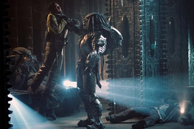 Gallery For   Avp Predator Wallpapers