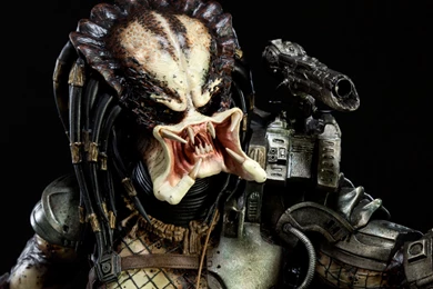 Predator 4K Ultra Hd Charming Wallpapers Free HD Wallpapers ...