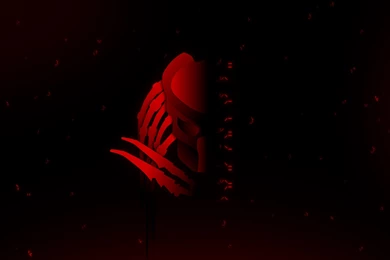 Predator Full HD By Kartine29 On DeviantArt