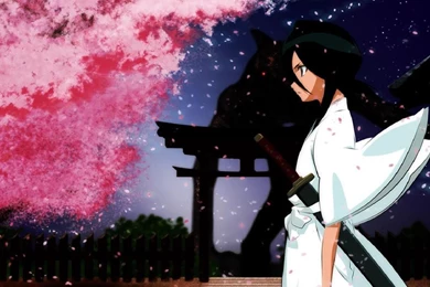 Widescreen Wallpapers   Rukia Wallpapers (5778719)   Fanpop