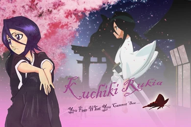 Rukia   Orihime And Rukia Wallpapers (34971851)   Fanpop