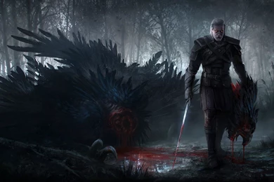 The Witcher 3 Wild Hunt HD Wide Wallpaper.jpg