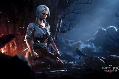 The Witcher 3 Wild Hunt Ciri Wallpapers