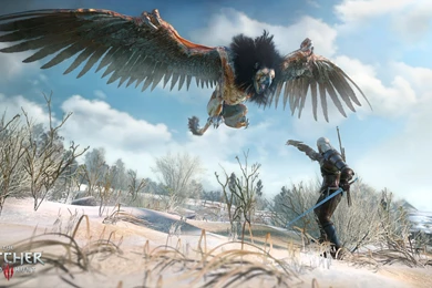 Witcher 3 game wallpaper.png