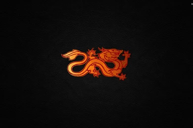 Red dragon on leather 41692 2560x1600.jpg