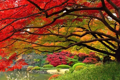 Download Autumn Wallpapers High Definition