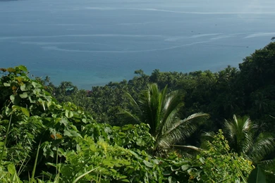 Ocean View Dual Screen Wallpapers