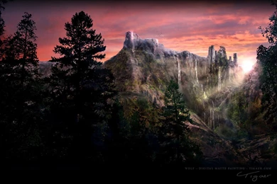 Wolf 1600x1200 Wallpapers, 1600x1200 Wallpapers & Pictures Free ...