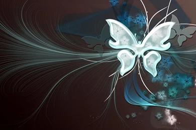Butterfly Vector Art Backgrounds HD Wallpapers Vector Art HD Free ...
