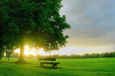 Spring Field Wallpapers 2   Crazy Frankenstein