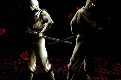My Free Wallpapers   Comics Wallpapers : Stormshadow And Snake Eyes