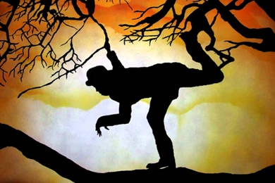 Tom Waits   Everything You Can Think Of Is True (Alice Demo)   YouTube