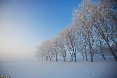 Gallery For   Canadian National Geographic Wallpapers