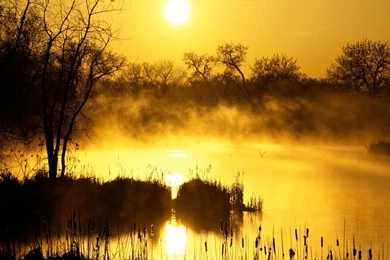 Sunrise Wallpapers   Nature Wallpapers