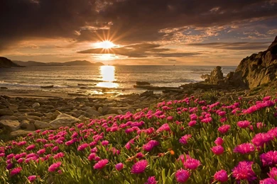 New Sunrise Wallpapers