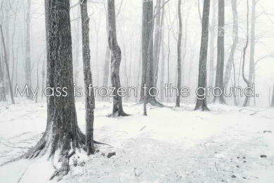 Offensive Wallpapers   Album On Imgur