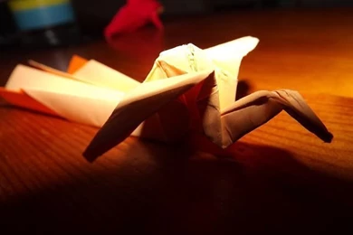 Hashed And Salted: Folding Paper