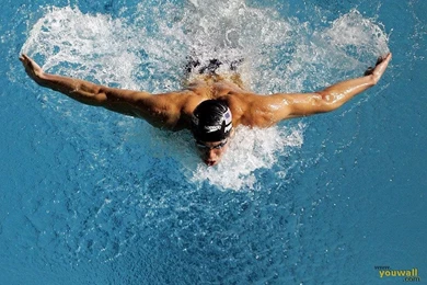 Gallery For   Micheal Phelps Wallpapers