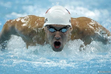 Free Wallpapers   Free Sport Wallpapers   Michael Fred Phelps ...