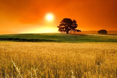 Gallery For   Nice Wallpapers Desktop Backgrounds