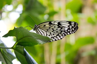 Full Screen Nature Desktop Wallpapers