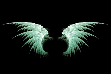 Anime Angel Wings
