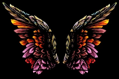 1920x1200 Silhouette Angel Wings Black Backgrounds 1680x1050 ...