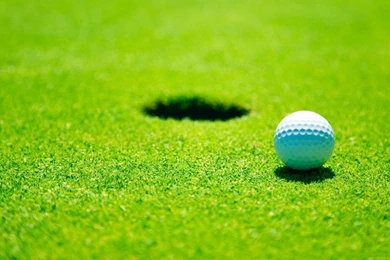 HD Wallpapers Source Page 455 Of 489 100% Quality HD Desktop ...