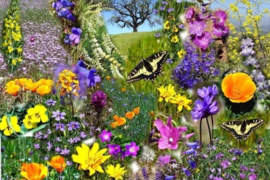 30+ Gorgeous Looking Spring Wallpapers   Pic Eager