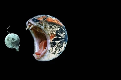 Funny Setelite Hd Wallpapers   Wallpaperss HD