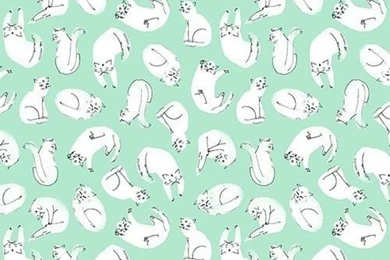 iPhone Wallpapers   Cats