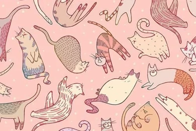 Phone Wallpapers On Pinterest