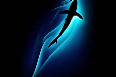 Iphone 5 Wallpapers Free Download   HD Wallpaper Backgrounds Of ...