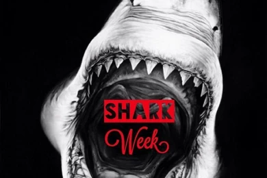 iPhone Wallpapers On Pinterest